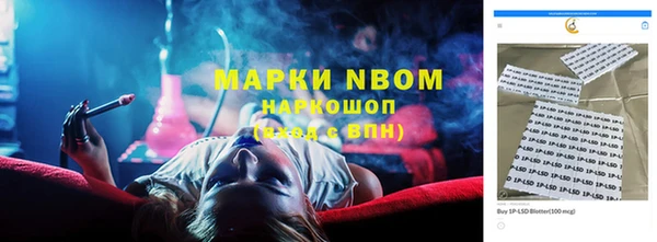 индика Белокуриха
