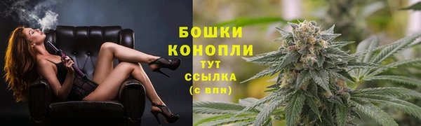 индика Белокуриха