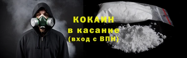 индика Белокуриха
