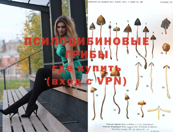 спиды Белоозёрский