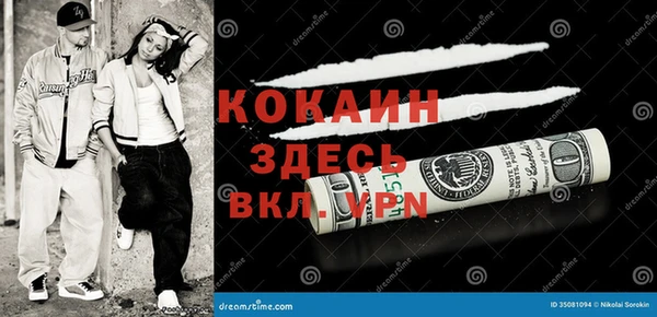 индика Белокуриха