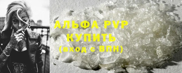 индика Белокуриха