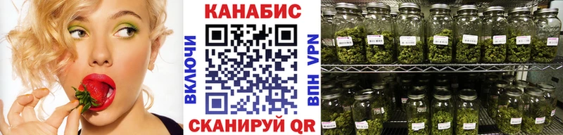 Бошки Шишки Amnesia  купить  цена  МЕГА ССЫЛКА  Надым 